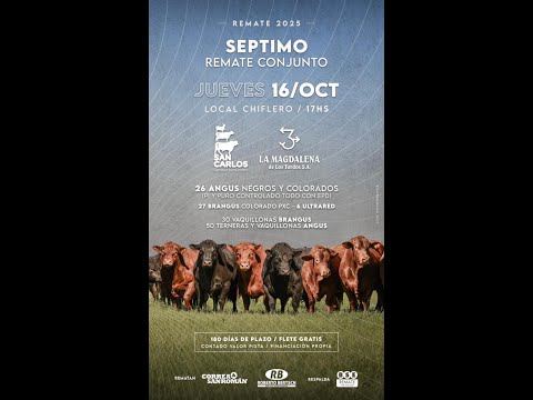 16/10/2025   San Carlos y La Magdalena (Cabaña) - Correa y San Roman / Local Chiflero - Artigas