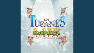 El Narizon (Banda Mix)