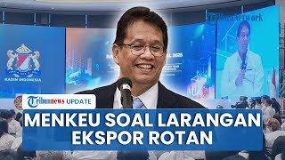 Dilarang Era Jokowi, Purbaya Buka Peluang Perbolehkan Ekspor Rotan Jadi Mata Pencaharian Terbesar