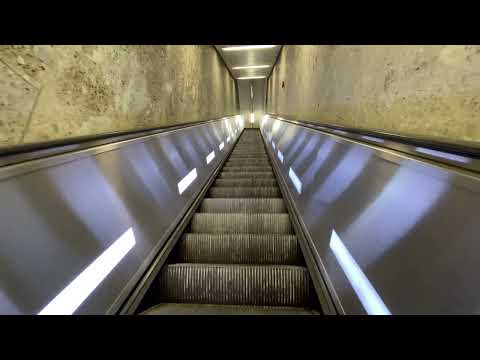 München Marienplatz: mit S-Bahn München und Rundgang