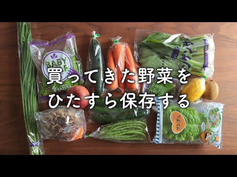 , title : '長持ちする！野菜の保存方法【冷蔵庫収納】'