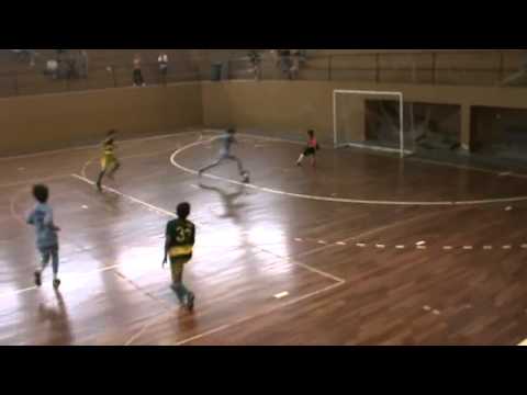 Gols Matheus B Cardoso (Baú) Sul Brasileiro 2010 Baln. Camb