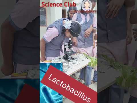 Science practical