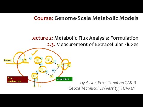 Lecture 2.3 - Measurement of Extracellular Fluxes | Genome Scale Metabolic Models