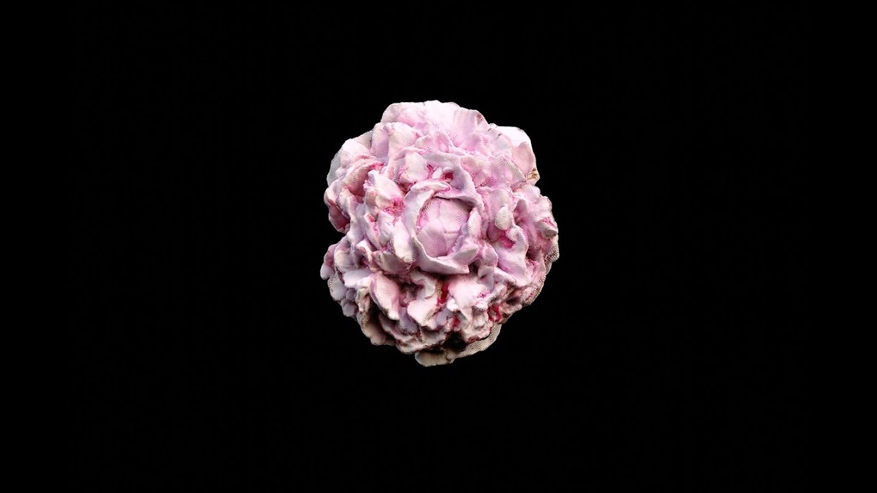 2025 SBIFF Trailer - I ACCIDENTALLY STEPPED ON A FLOWER (Aksidentalisht shkela një lule)