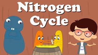 Nitrogen Cycle | #aumsum #kids #education #science #learn