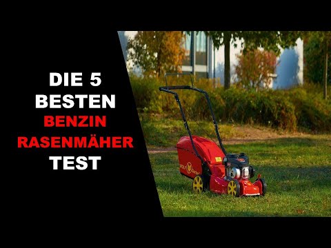 ✅ Top 5 Die Besten Benzin Rasenmäher Test