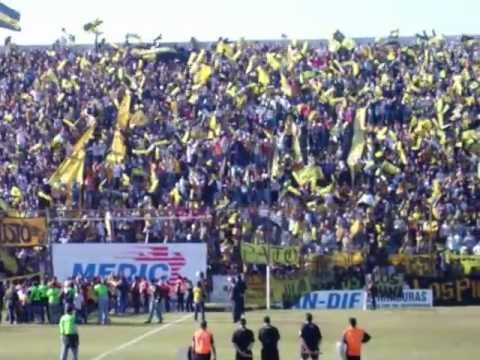 "HINCHADA ALMIRANTE BROWN" Barra: La Banda Monstruo • Club: Almirante Brown