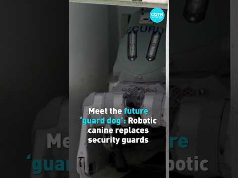 Meet the robot 'guard dog' replacing security guards