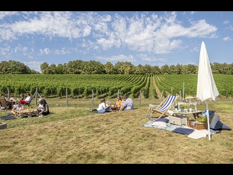 Visit our sparkling winery