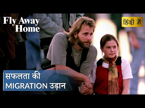 FLY AWAY HOME | End Of Migration | Hollywood Movie Scenes | Movie Clips