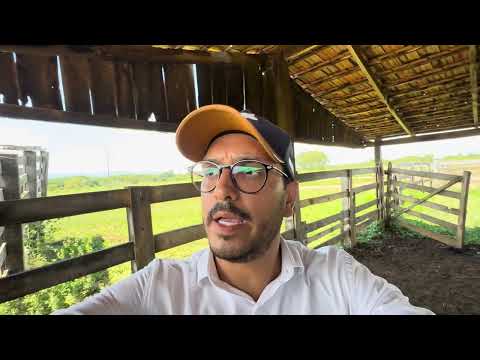 Fazenda dupla aptidão à venda em São João D’Aliança, com 460 hectares ou 95 alqueires, no Vão. 