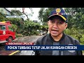 Pohon Tumbang Tutup Jalan Kuningan Cirebon Pengendara Dialihkan Ke Jalur Alternatif