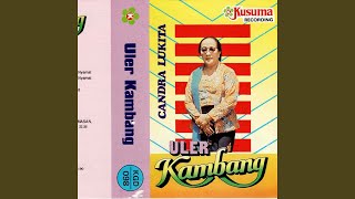 Download lagu Jineman ULER KAMBANG Pl. Nyamat mp3