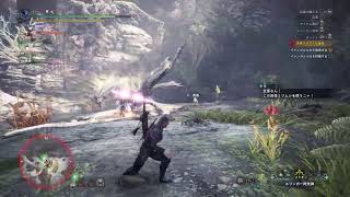 ［珍珍亭］モンハン実況　氷地獄　導き編