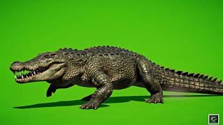 Download lagu 🐊 VFX Green Screen New Crocodile – FREE GREEN SCREEN mp3