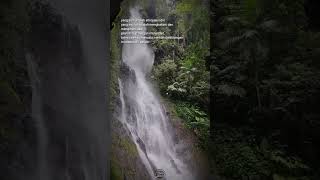 Download lagu INTROSPEKSI DIRI...#motivation #quotes #viral #katakatabijak #status mp3 Download lagu INTROSPEKSI DIRI...#motivation #quotes #viral #katakatabijak #status mp3