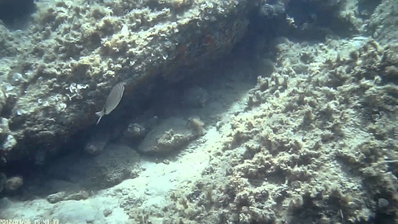 808 #16 waterproof-diving case with 1,5 euro (underwater video)