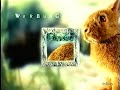 Pro7 Idents Intro Werbung Frühjahr 1998 1999