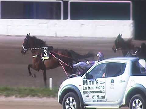 Trotto 17/05/2019 - 8ª corsa
