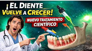 El descubrimiento que podría permitir a los humanos volver a tener dientes