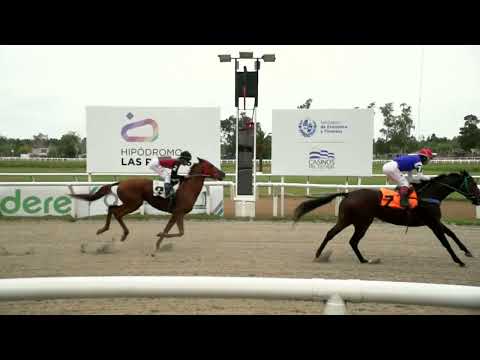 220422 c01 -  TRIUNFAL - HIPODROMO LAS PIEDRAS