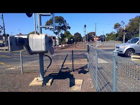 V/line N466 city of warrnambool