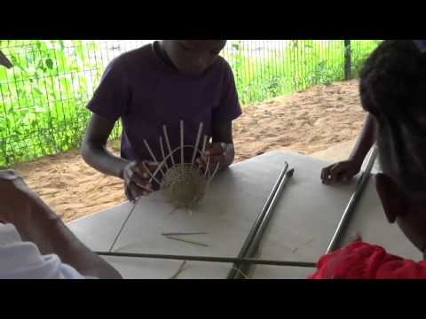 Drôles de grenouilles !