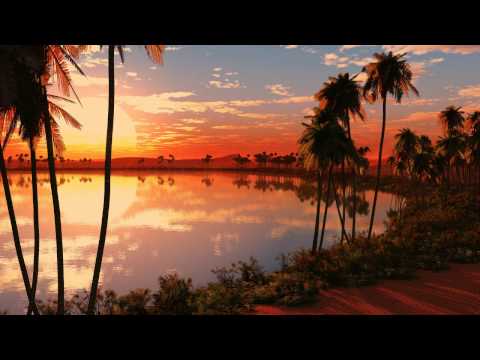 Digital Nature - Oasis (Ferry Tayle vs Everest Rmx)