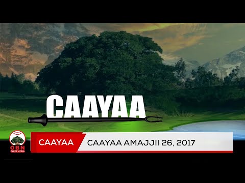 Caayaa OBN Amajjii 26, 2017
