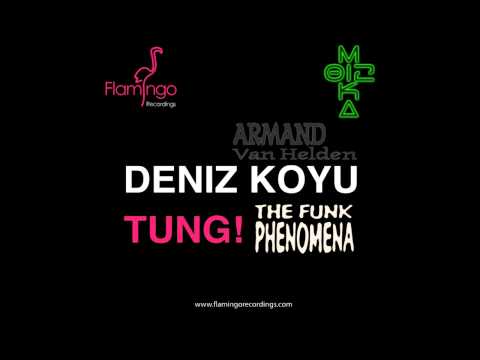 Deniz Koyu/Armand Van Helden -- Tung! Funk Phenomena (DjMika012 Bootleg)