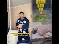 Son Packed His Bags Because He Heard His Parents Viral Comedy Funny Pov Happy