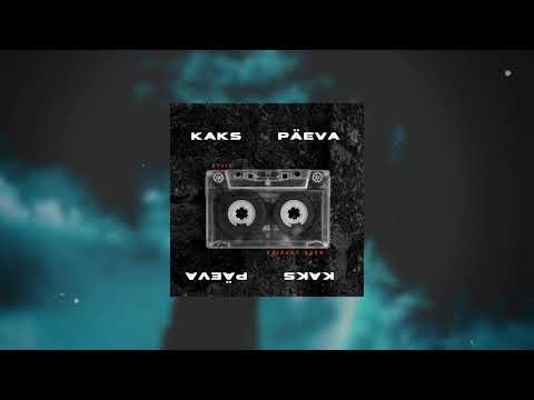 Stiiv - 2 Päeva (DadBod remix)
