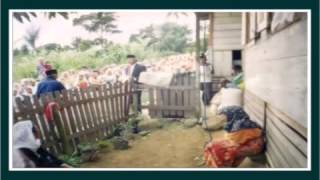 Download lagu 'Selimut putih' Asmida Darwis mp3