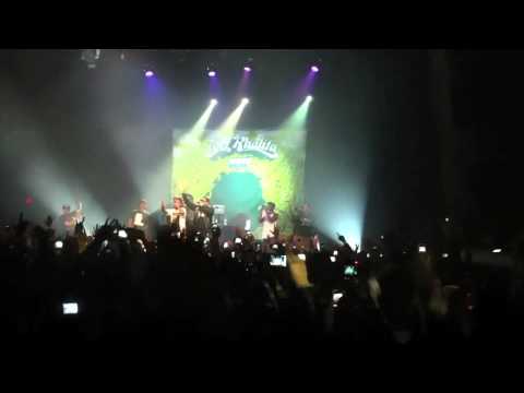 Wiz Khalifa & P.Diddy LIVE HD at Waken Baken tour (HBP CRUISIN')