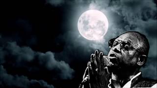 Grab A Bottle of Bourbon And Enjoy ;) | Mighty Sam McClain - I'm So Lonely