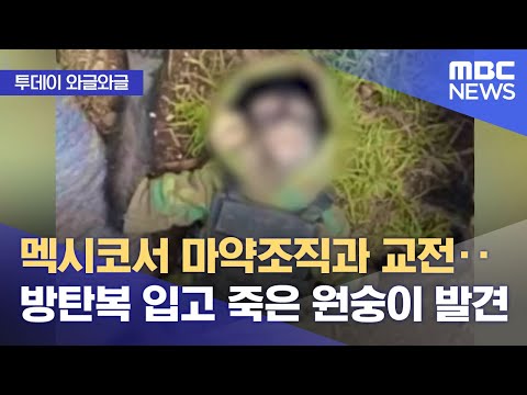 아이콘