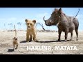 Hakuna Matata