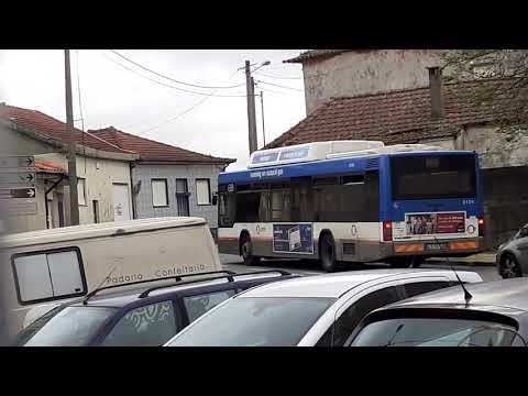 STCP linha 805 veiculo 3124