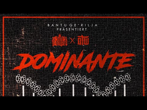 Video thumbnail for Dominante Gene