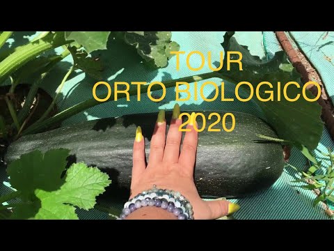 , title : 'IL MIO ORTO BIOLOGICO TOUR 2020'