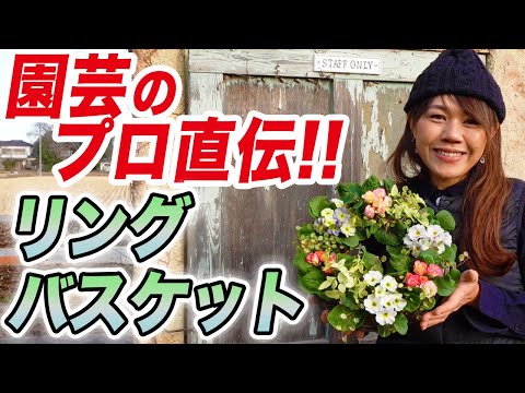 園芸 マネーバスケット、トラスピ