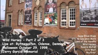 Wild Horses at Rytmeposten 1998 - Jerry Garcia Memorial (2-3)