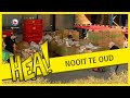 Nooit te oud om te werken | HEA!