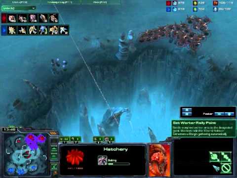 SC2 VileSpanshwa[Z] vs vVvTime[P] on Xel'Naga Caverns