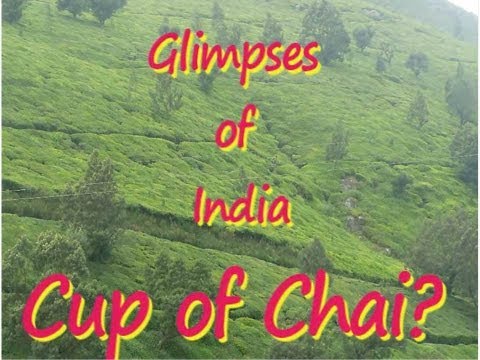 インドの垣間見たカレー|紅茶の作り方 (Glimpses of India with Show Me The Curry | Tea Making Process)