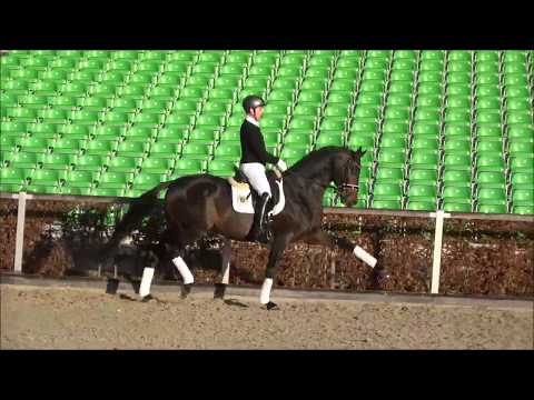 Freiherr von Stein v. Millennium - Perechlest