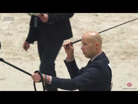 N 138 ATIUS O   Paris 2019   Senior Stallions Class 6A