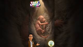 Você sabe de quem é esse bebê? 🤔 | Você Sabia?