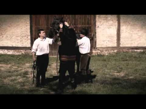 Riđane - T.S. KRISTALI